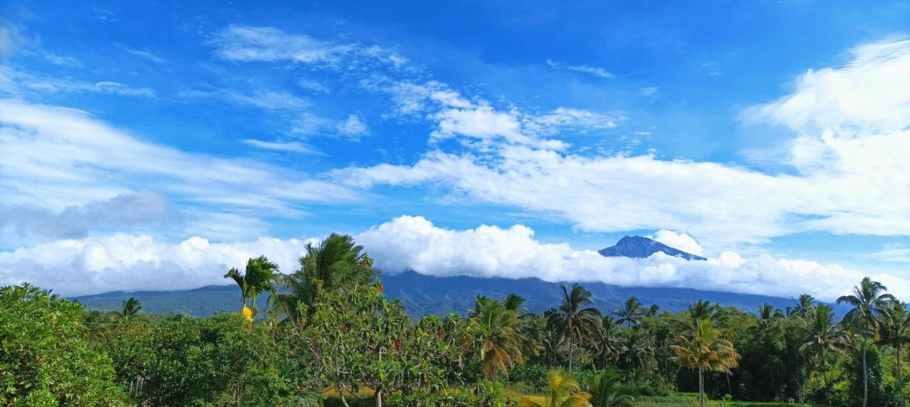 Novia Guest House Lombok-Тетебату Екстер'єр фото